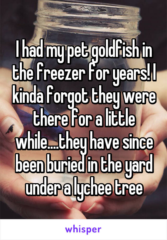 I had my pet goldfish in the freezer for years! I kinda forgot they were there for a little while....they have since been buried in the yard under a lychee tree