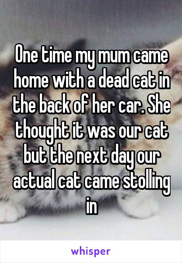 One time my mum came home with a dead cat in the back of her car. She thought it was our cat but the next day our actual cat came stolling in