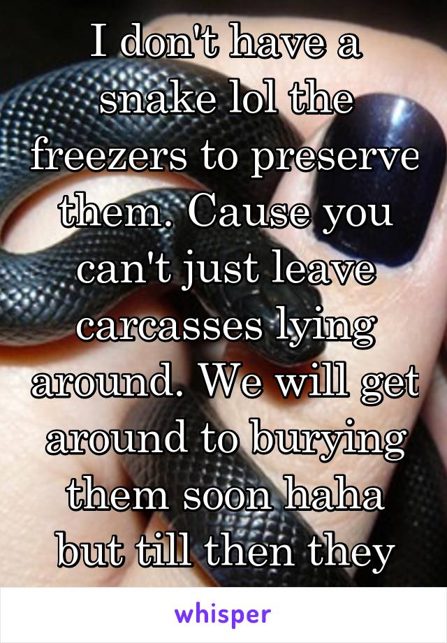 I don't have a snake lol the freezers to preserve them. Cause you can't just leave carcasses lying around. We will get around to burying them soon haha but till then they stay frozen! 