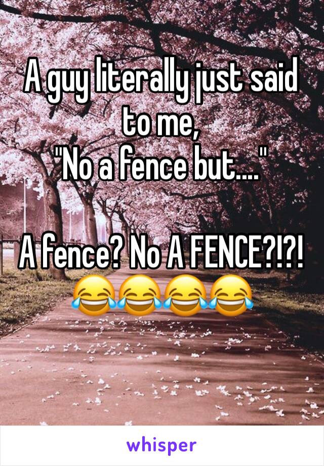 A guy literally just said to me, 
"No a fence but...."

A fence? No A FENCE?!?! 
😂😂😂😂