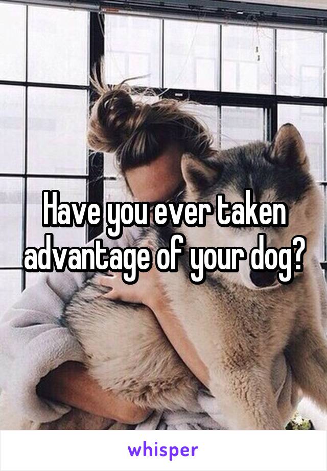 Have you ever taken advantage of your dog?