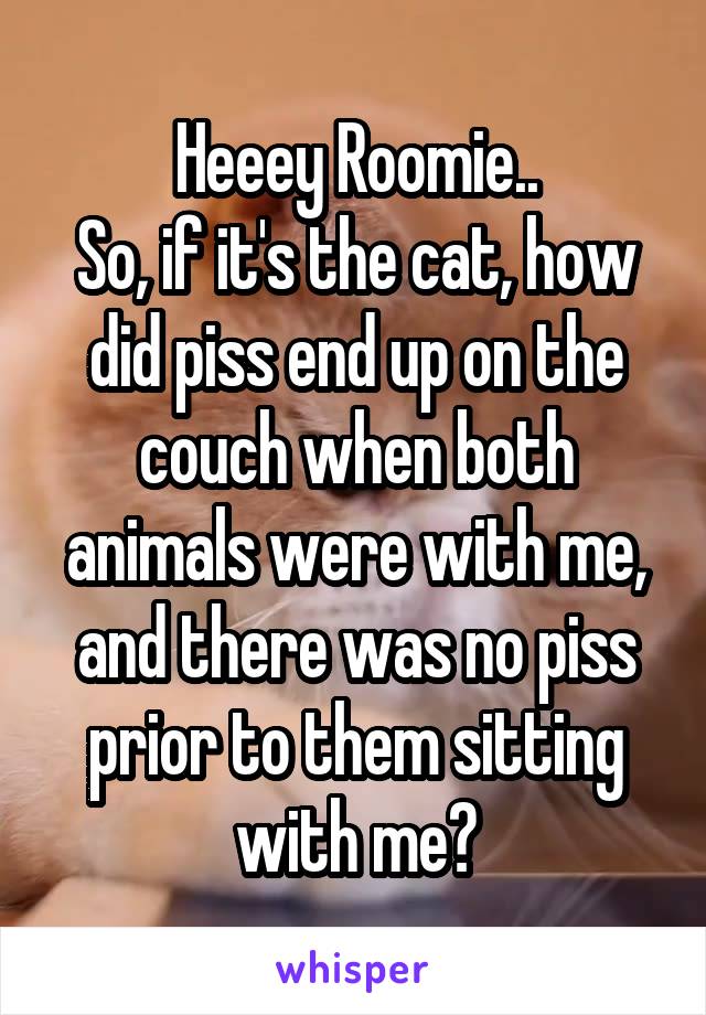 Heeey Roomie..
So, if it's the cat, how did piss end up on the couch when both animals were with me, and there was no piss prior to them sitting with me?