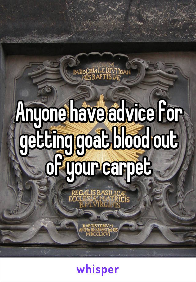 Anyone have advice for getting goat blood out of your carpet
