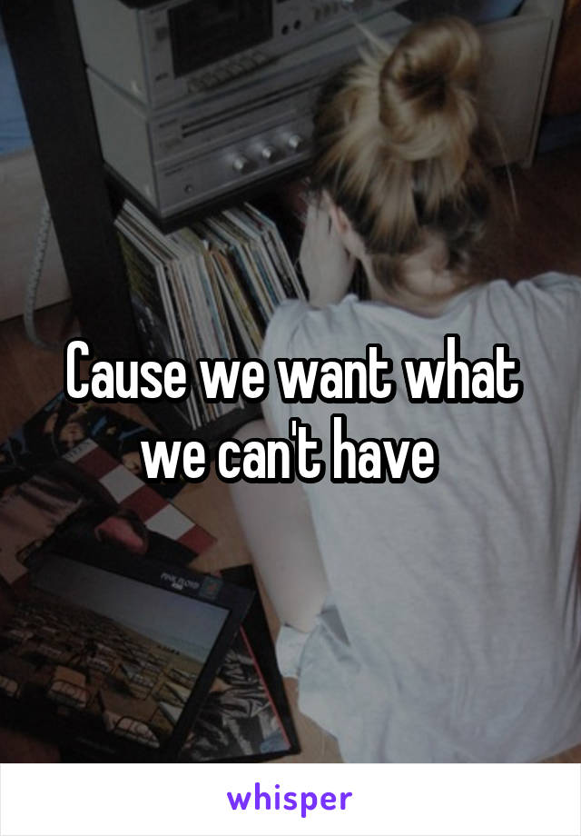 Cause we want what we can't have 