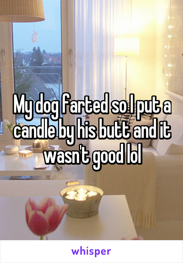 My dog farted so I put a candle by his butt and it wasn't good lol