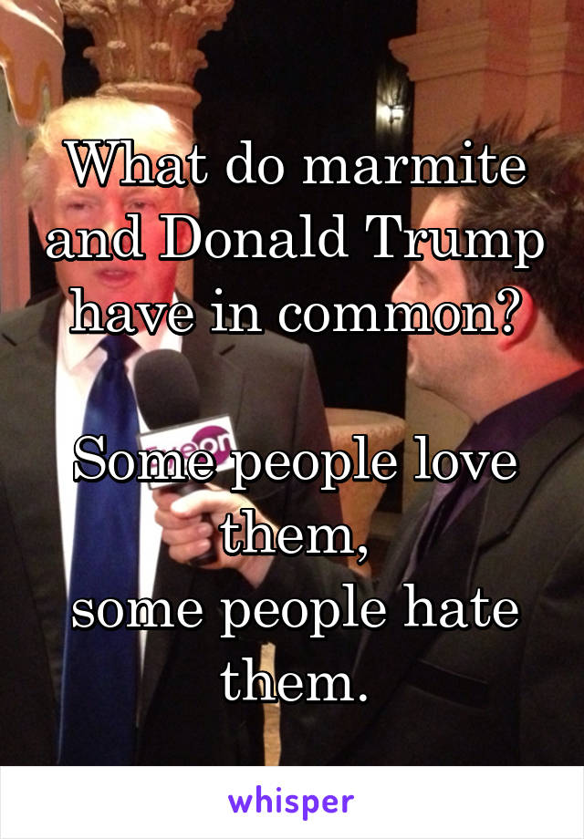 What do marmite and Donald Trump have in common?

Some people love them,
some people hate them.