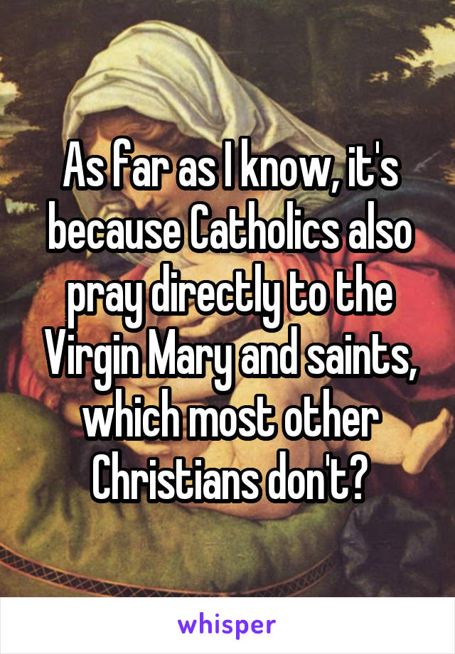 As far as I know, it's because Catholics also pray directly to the Virgin Mary and saints, which most other Christians don't?