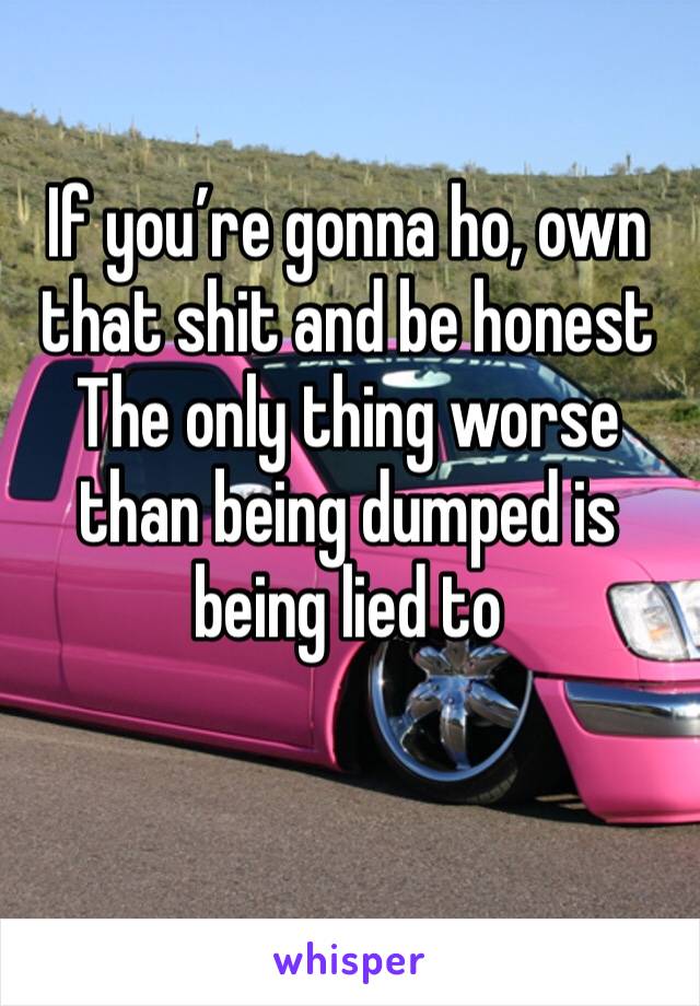 If you’re gonna ho, own that shit and be honest
The only thing worse than being dumped is being lied to