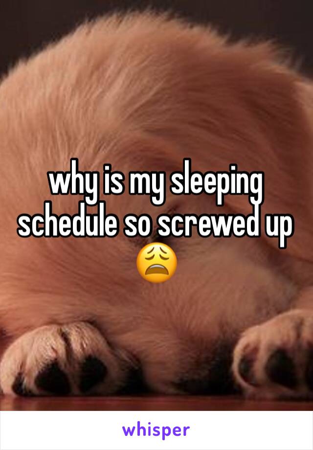 why is my sleeping schedule so screwed up 😩