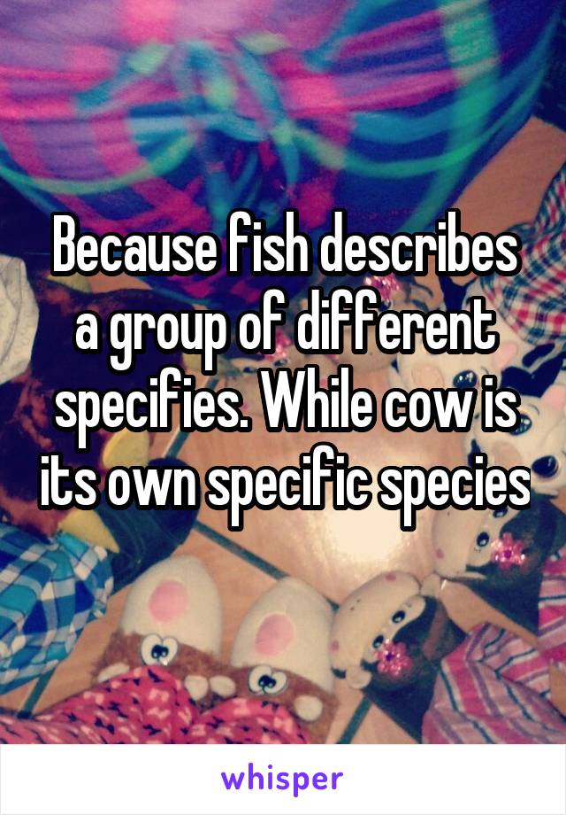 Because fish describes a group of different specifies. While cow is its own specific species 