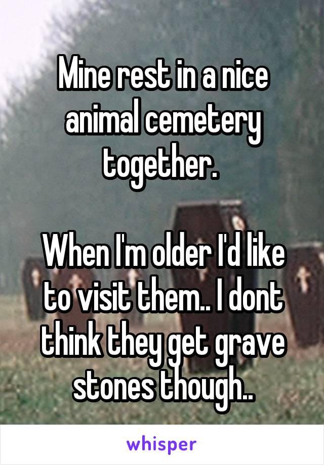 Mine rest in a nice animal cemetery together. 

When I'm older I'd like to visit them.. I dont think they get grave stones though..