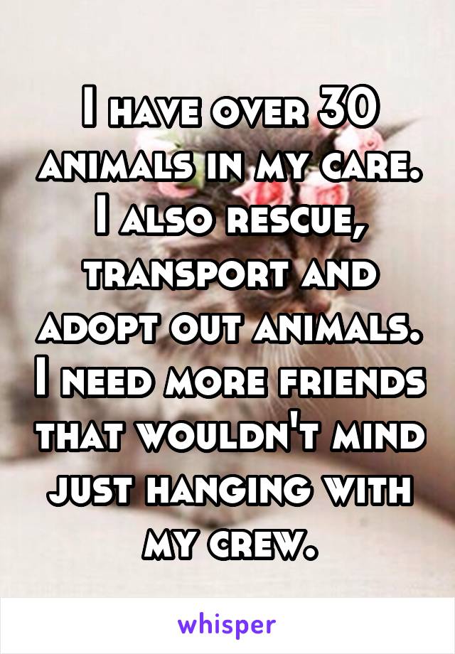 I have over 30 animals in my care. I also rescue, transport and adopt out animals. I need more friends that wouldn't mind just hanging with my crew.