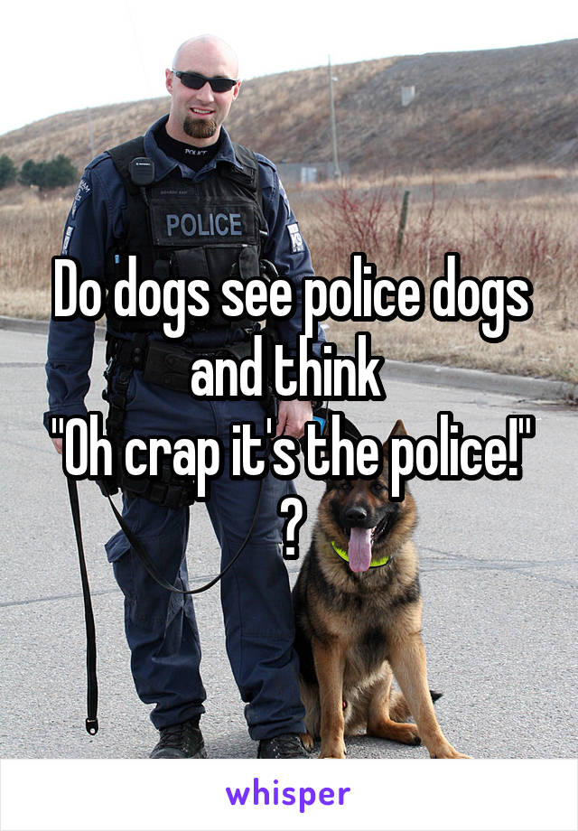 Do dogs see police dogs and think 
"Oh crap it's the police!"
?