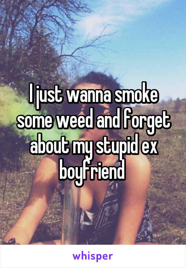 I just wanna smoke some weed and forget about my stupid ex boyfriend 