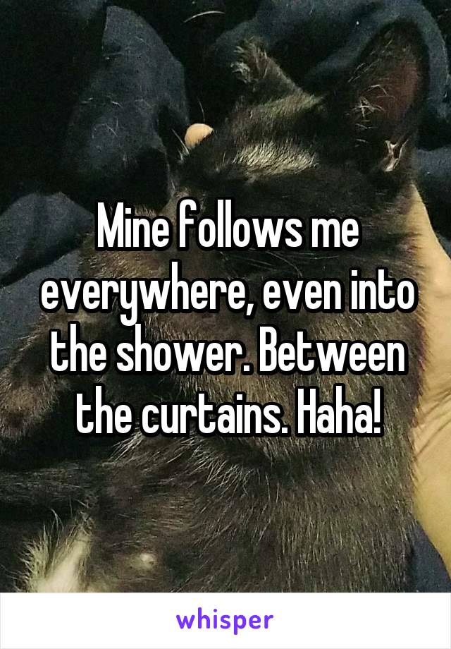 Mine follows me everywhere, even into the shower. Between the curtains. Haha!