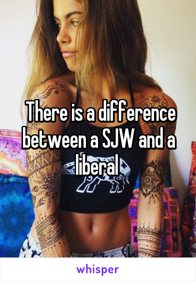  There is a difference between a SJW and a liberal 