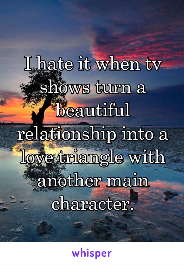 I hate it when tv shows turn a beautiful relationship into a love triangle with another main character.