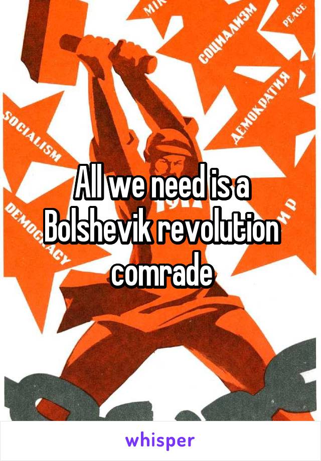 All we need is a Bolshevik revolution comrade