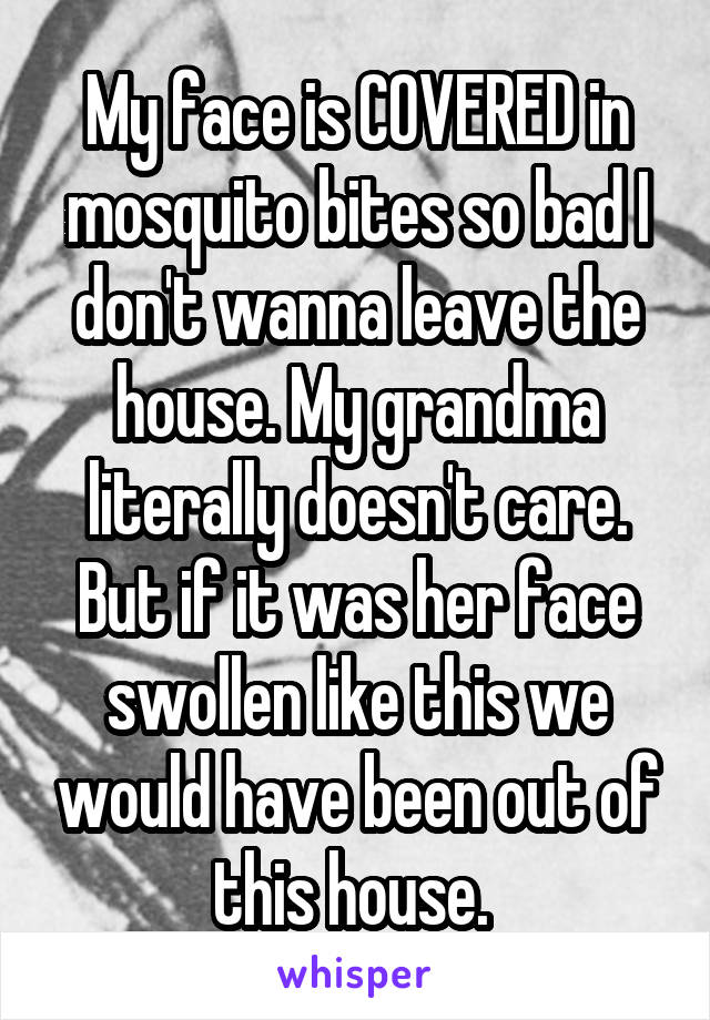 My face is COVERED in mosquito bites so bad I don't wanna leave the house. My grandma literally doesn't care. But if it was her face swollen like this we would have been out of this house. 