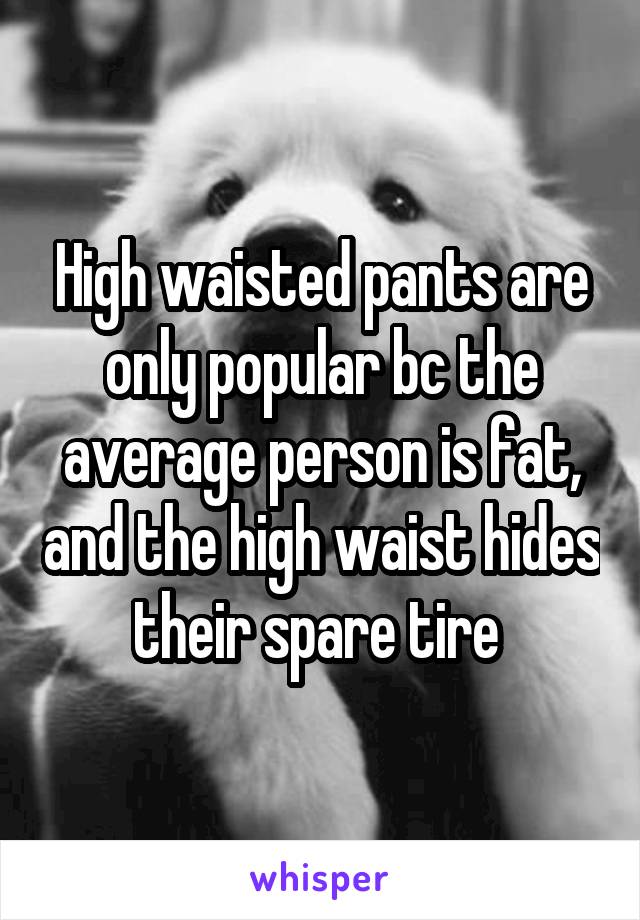 High waisted pants are only popular bc the average person is fat, and the high waist hides their spare tire 