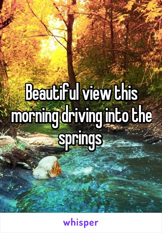 Beautiful view this morning driving into the springs 