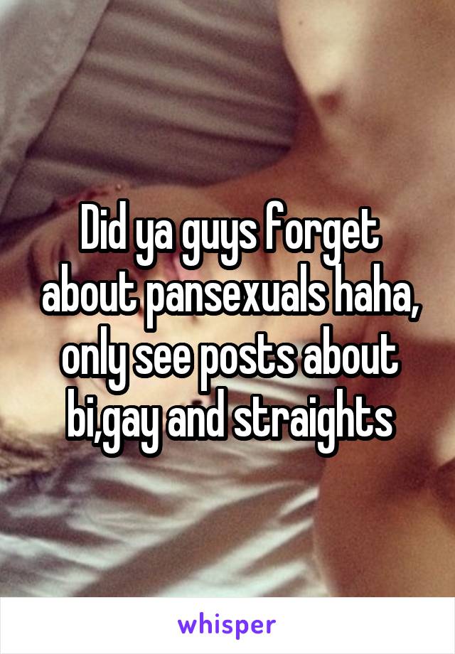 Did ya guys forget about pansexuals haha, only see posts about bi,gay and straights