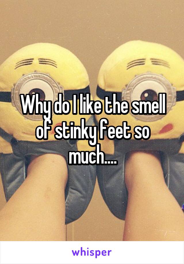 Why do I like the smell of stinky feet so much....