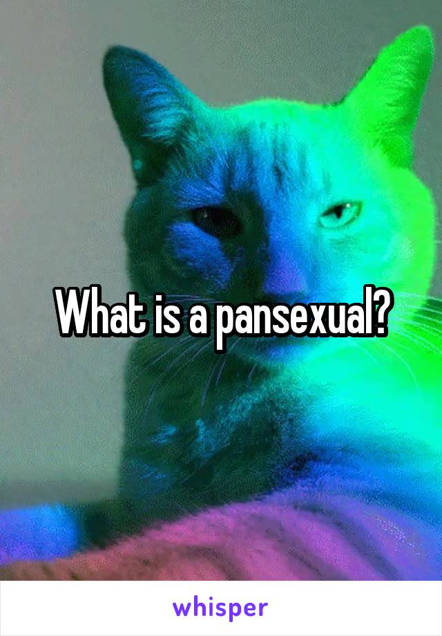 What is a pansexual?