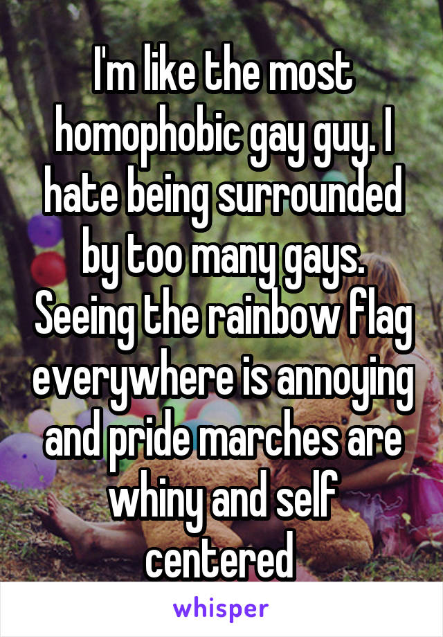 I'm like the most homophobic gay guy. I hate being surrounded by too many gays. Seeing the rainbow flag everywhere is annoying and pride marches are whiny and self centered 