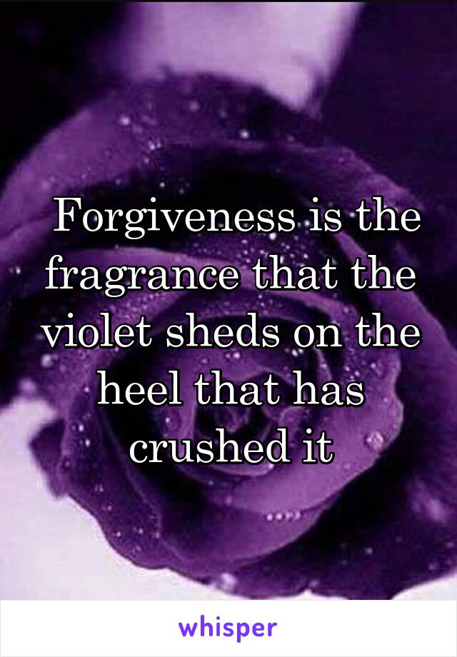 Forgiveness is the fragrance that the violet sheds on the heel that has crushed it
