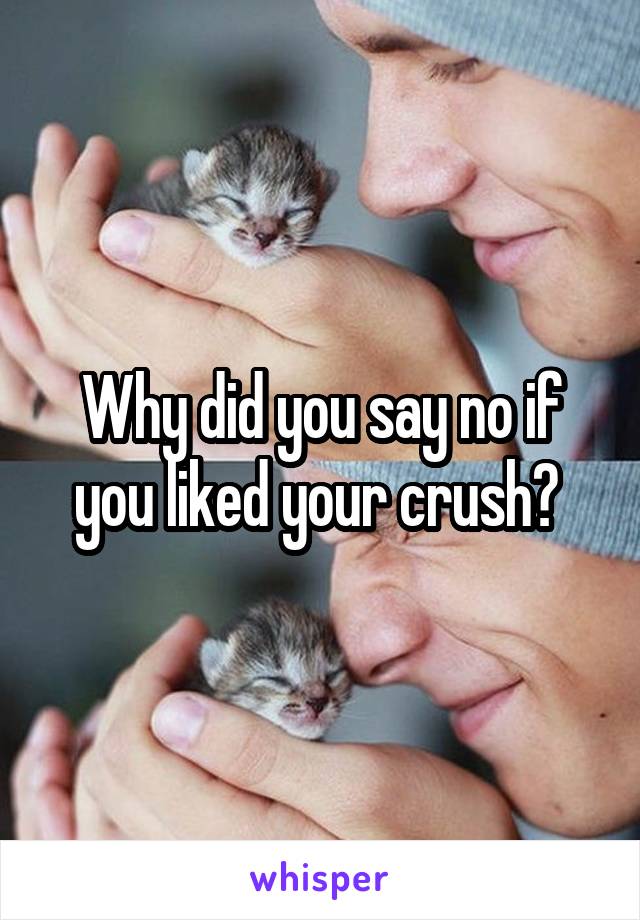 Why did you say no if you liked your crush? 