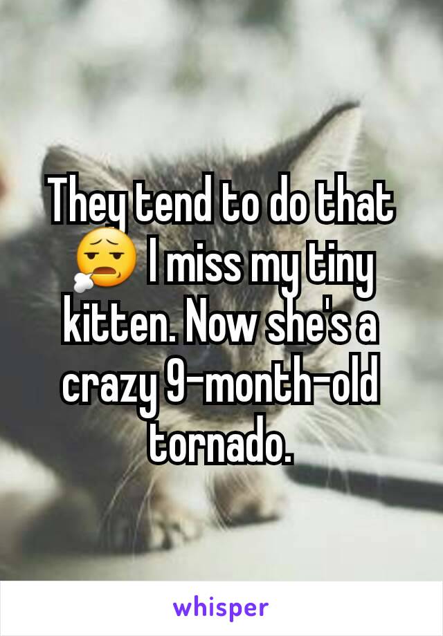 They tend to do that 😧 I miss my tiny kitten. Now she's a crazy 9-month-old tornado.