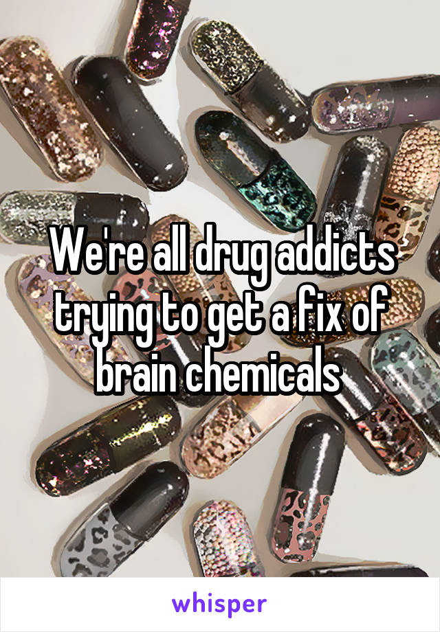 We're all drug addicts trying to get a fix of brain chemicals 