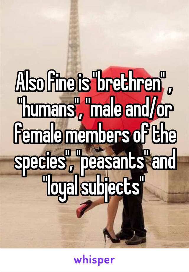Also fine is "brethren" ,  "humans", "male and/or female members of the species", "peasants" and "loyal subjects" 
