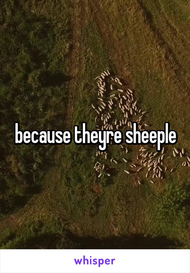 because theyre sheeple