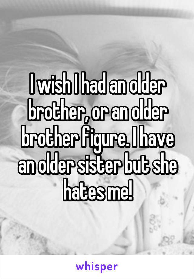 I wish I had an older brother, or an older brother figure. I have an older sister but she hates me!
