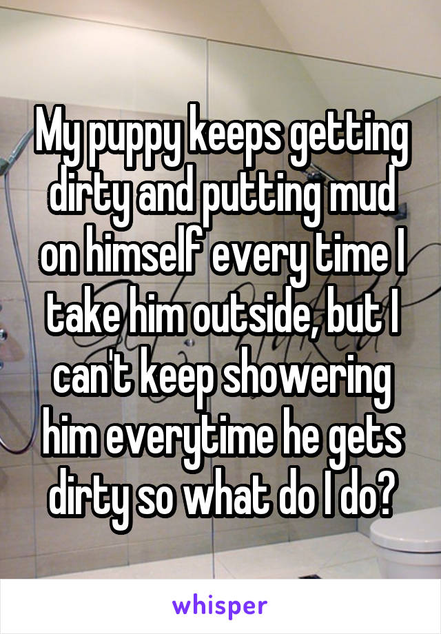 My puppy keeps getting dirty and putting mud on himself every time I take him outside, but I can't keep showering him everytime he gets dirty so what do I do?