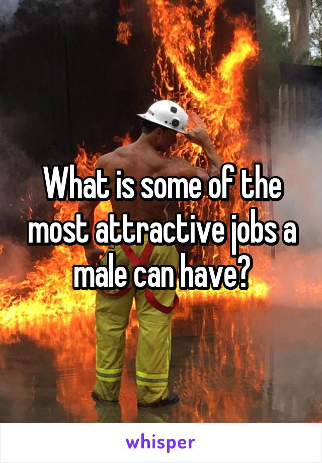 What is some of the most attractive jobs a male can have?