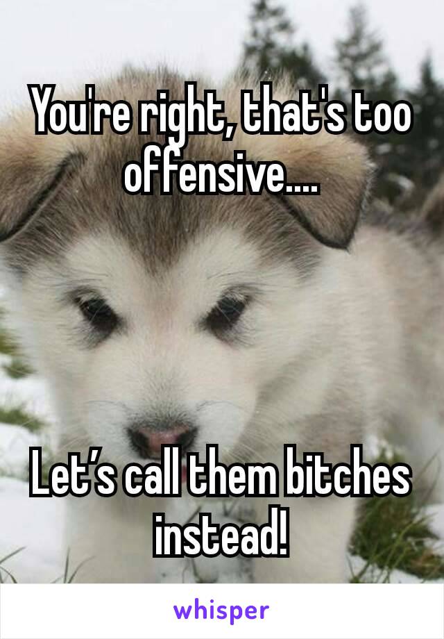 You're right, that's too offensive....




Let’s call them bitches instead!