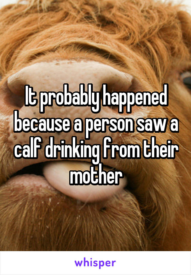 It probably happened because a person saw a calf drinking from their mother