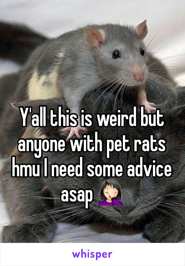 Y'all this is weird but anyone with pet rats hmu I need some advice asap 🤦🏻‍♀️
