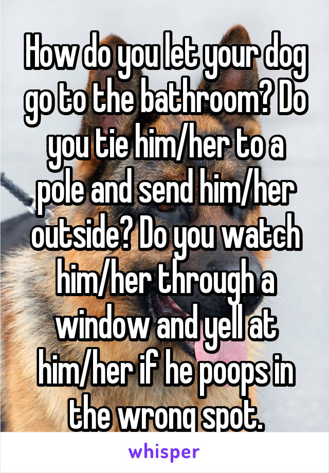 How do you let your dog go to the bathroom? Do you tie him/her to a pole and send him/her outside? Do you watch him/her through a window and yell at him/her if he poops in the wrong spot.