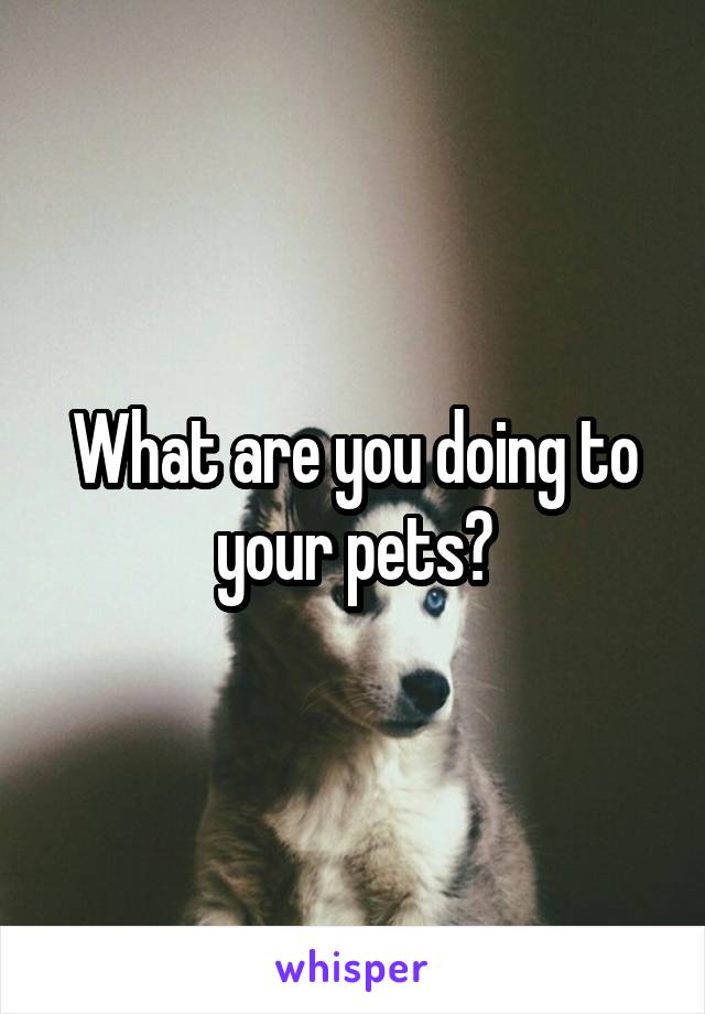 What are you doing to your pets?