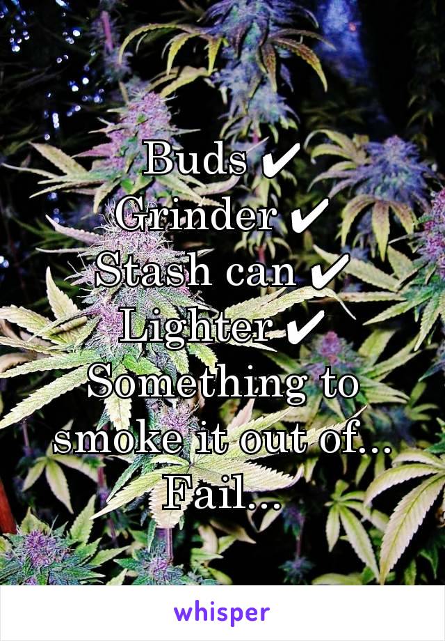 Buds ✔
Grinder ✔
Stash can ✔
Lighter ✔
Something to smoke it out of... Fail...
