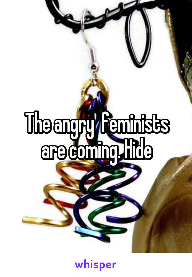 The angry  feminists are coming. Hide