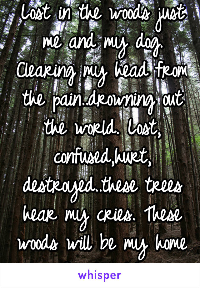 Lost in the woods just me and my dog. Clearing my head from the pain..drowning out the world. Lost, confused,hurt, destroyed..these trees hear my cries. These woods will be my home for tonight.