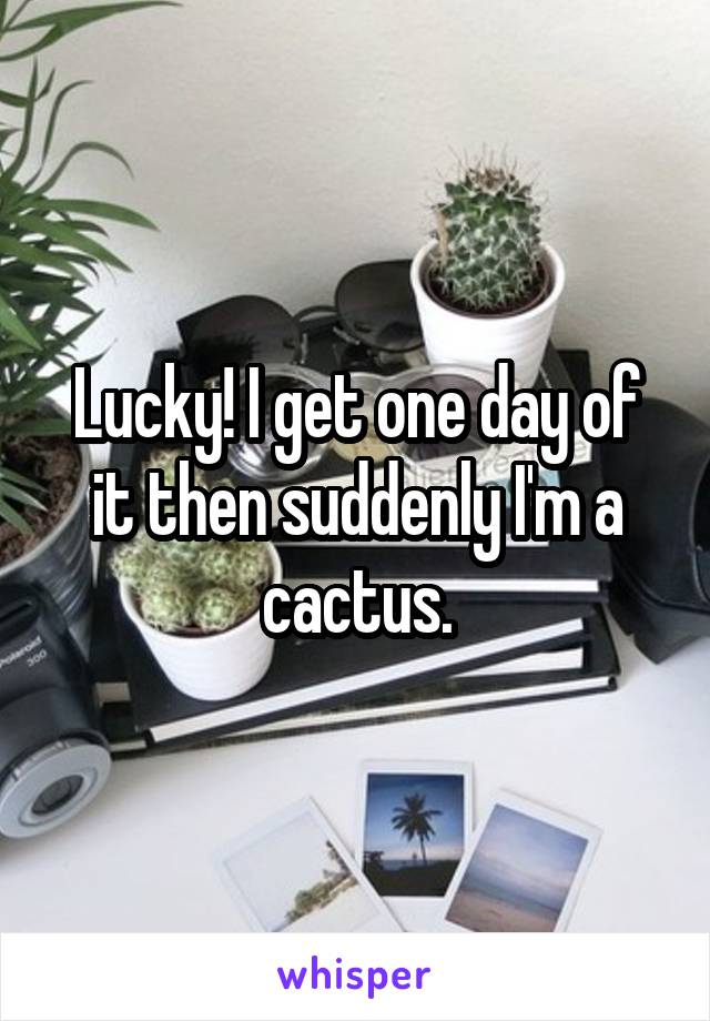 Lucky! I get one day of it then suddenly I'm a cactus.