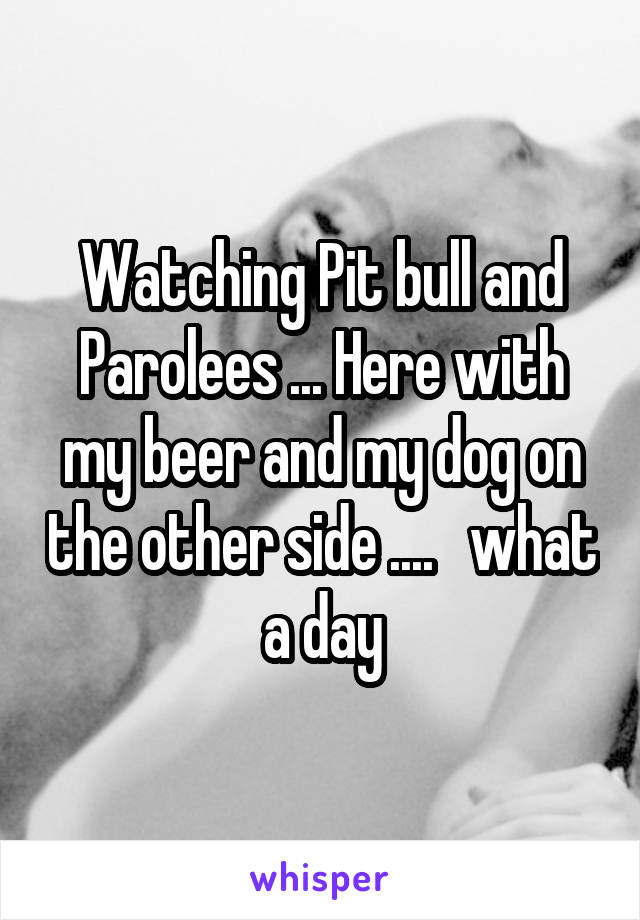 Watching Pit bull and Parolees ... Here with my beer and my dog on the other side ....   what a day
