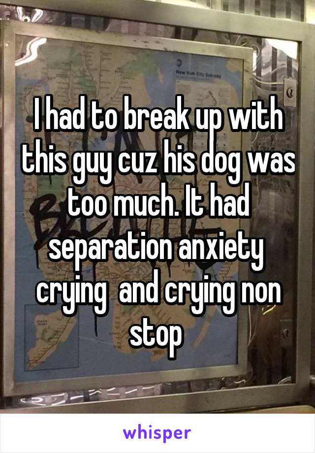 I had to break up with this guy cuz his dog was too much. It had separation anxiety  crying  and crying non stop 