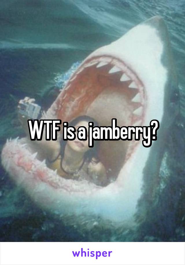 WTF is a jamberry?